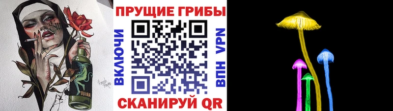 Псилоцибиновые грибы GOLDEN TEACHER  MEGA рабочий сайт  Протвино 