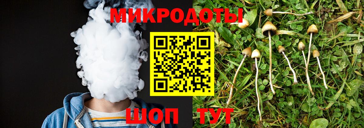 Протвино  Галлюциногенные грибы Psilocybine cubensis  Вход с VPN 