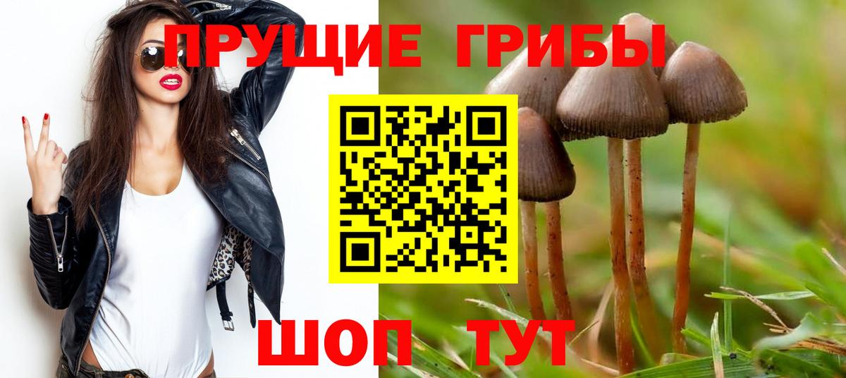 Галлюциногенные грибы MAGIC MUSHROOMS Протвино